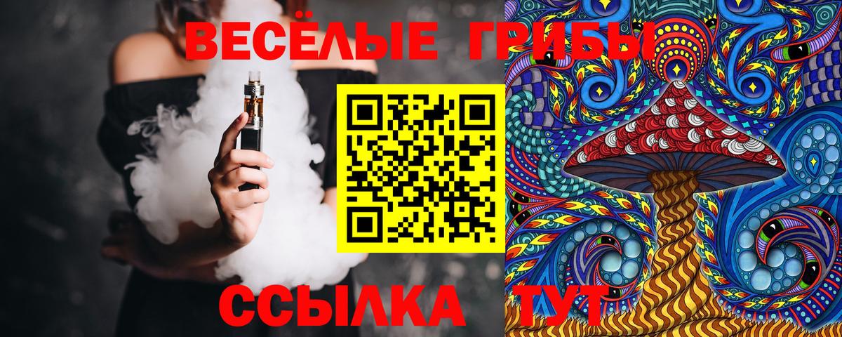 Галлюциногенные грибы Magic Shrooms Киселёвск