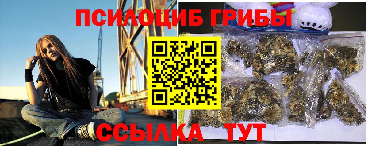 Киселёвск  наркошоп  Вход с VPN  Галлюциногенные грибы Psilocybe 